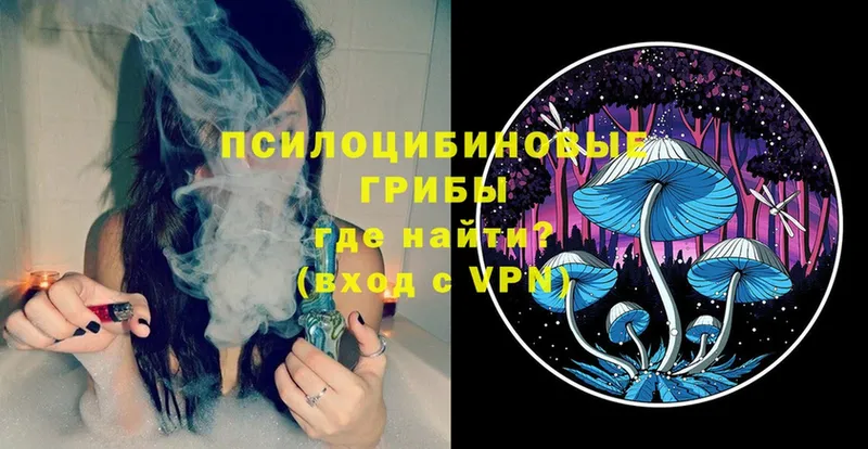 Галлюциногенные грибы MAGIC MUSHROOMS  цены   Белорецк 